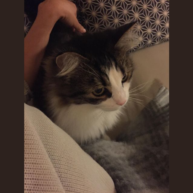 Photo of Izzy