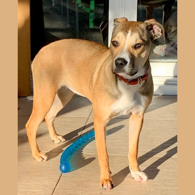 Photo of Winnie