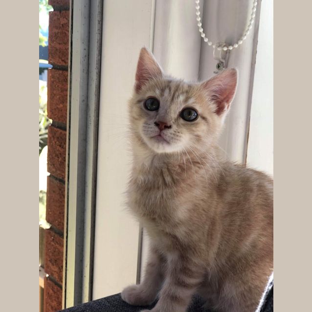 Photo of Rubble 🥰