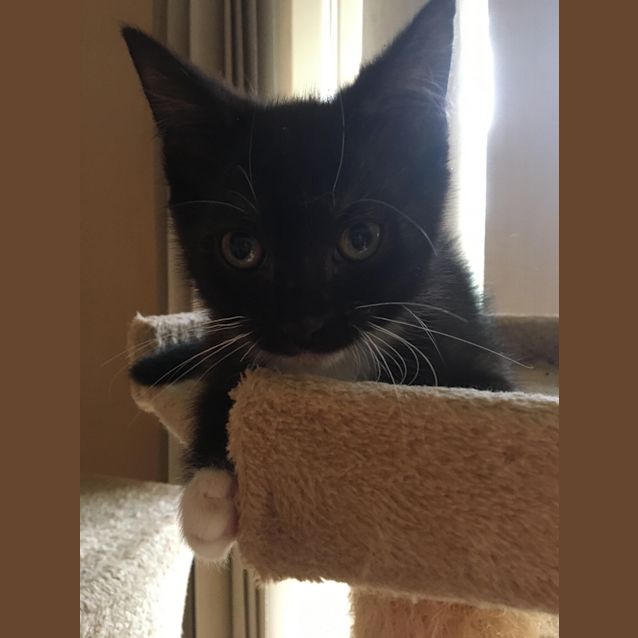 Photo of Cloud
