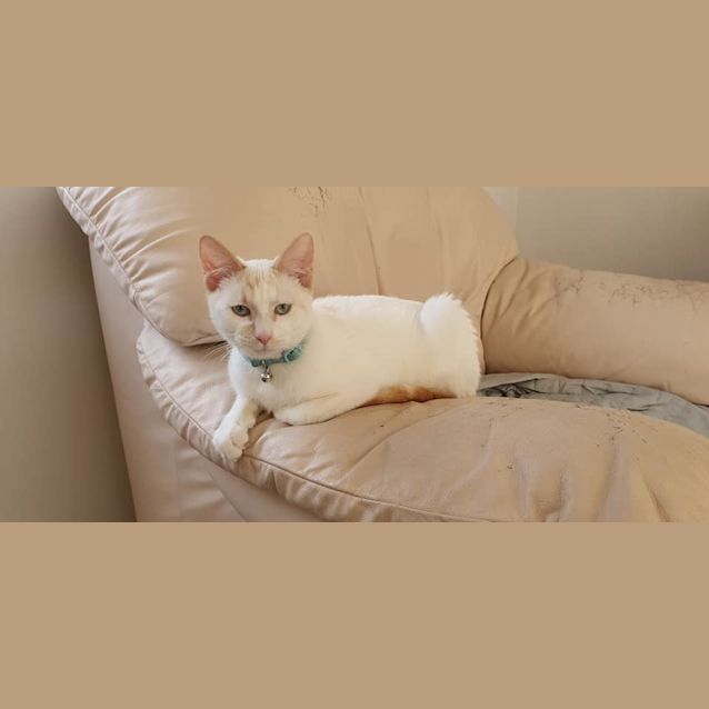 Photo of Sunny 