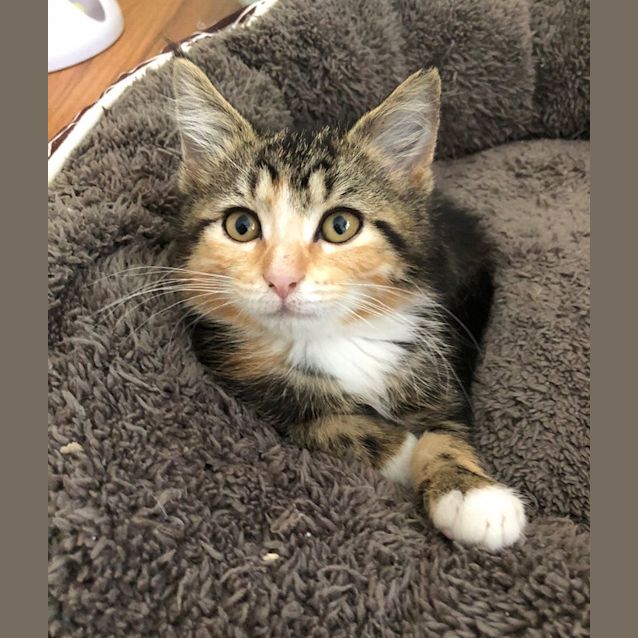 Photo of Whizzy 