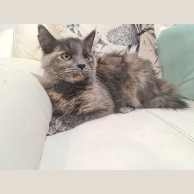 Photo of Mia