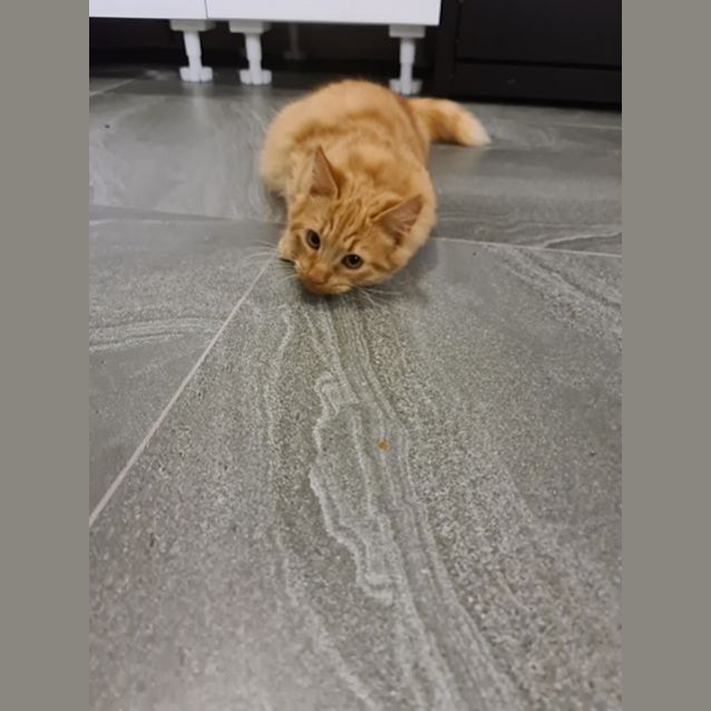 Photo of Ron