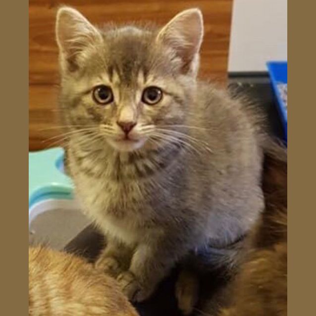 Photo of Meredith 
