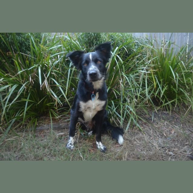 Photo of Flynn