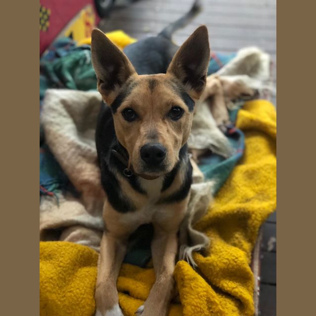 Photo of Ella **On Hold**