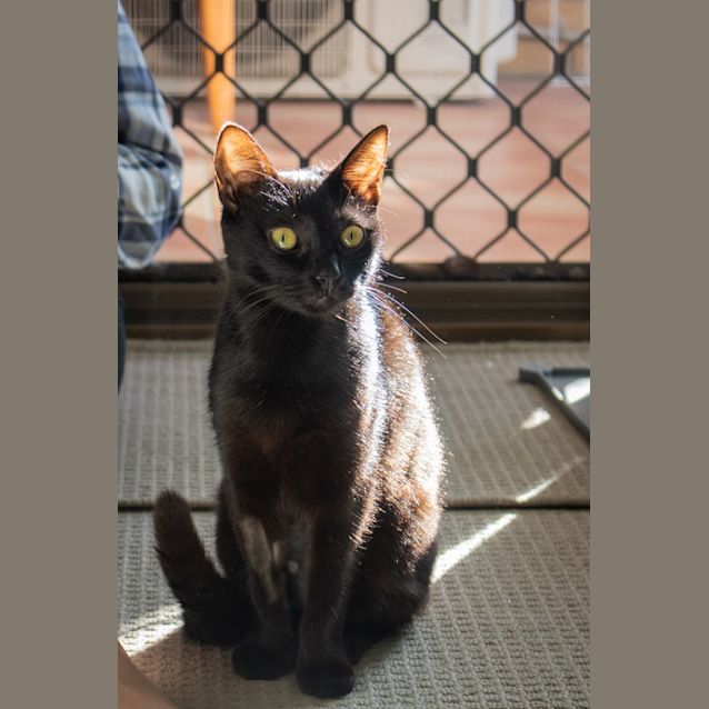 Photo of Bianca