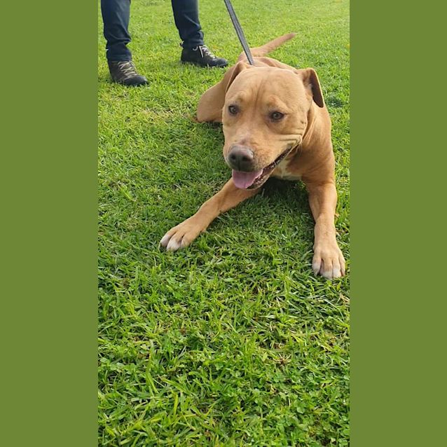 Photo of Molly Dl2484