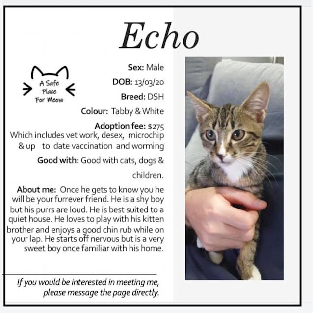 Photo of Echo