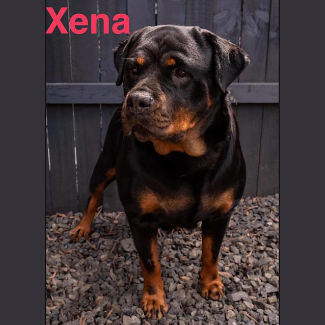 Photo of Xena