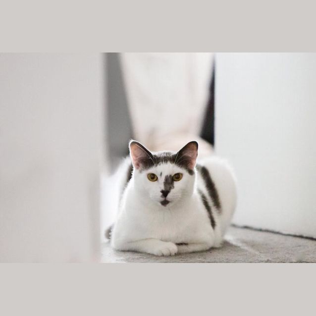 Photo of Micah 