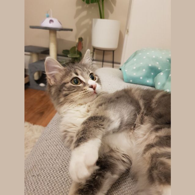 Photo of Ivy
