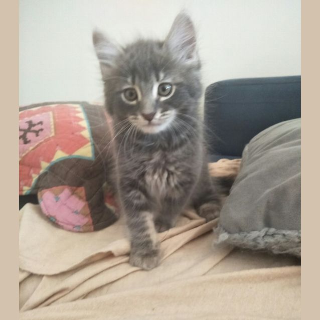 Photo of Billy