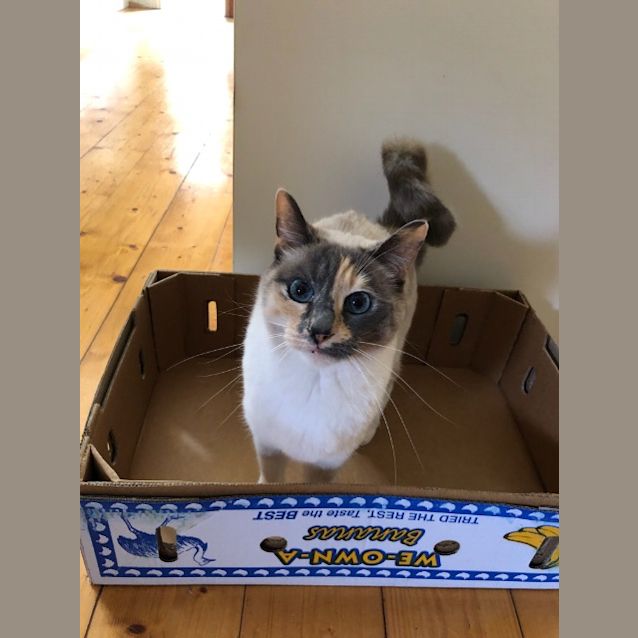 Photo of Bella
