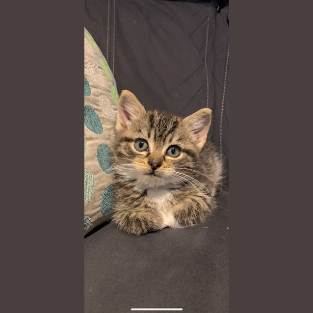 Photo of Sparky