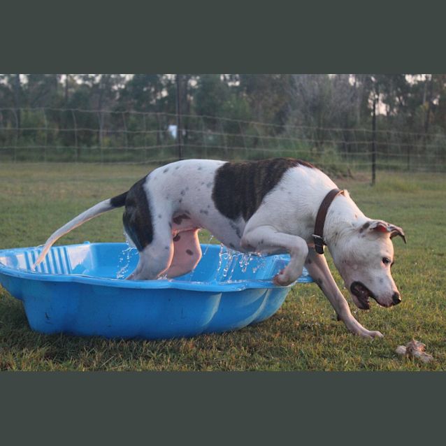 Photo of  Daisy 🌻