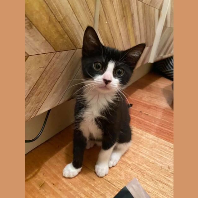 Photo of Tiny