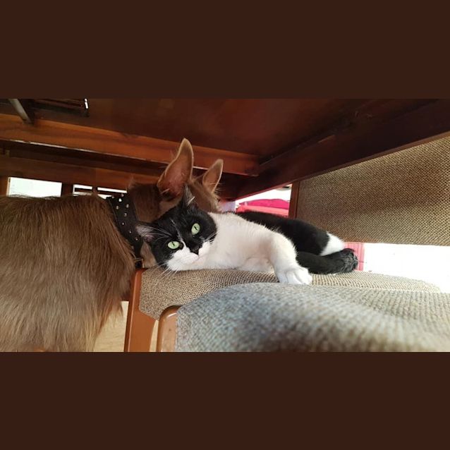 Photo of Katy Purry