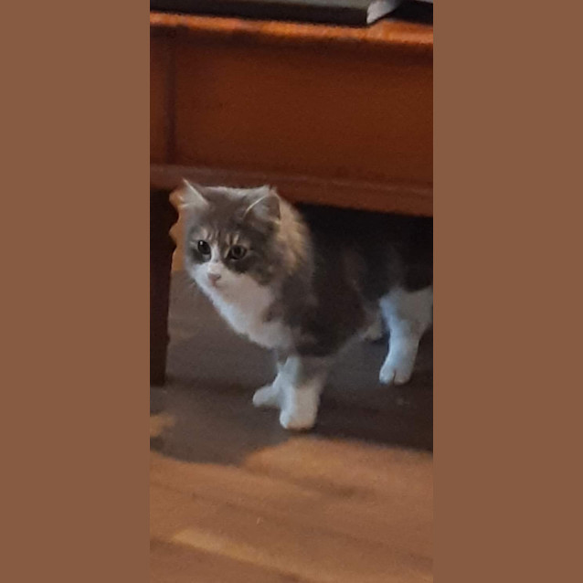 Photo of Abigail