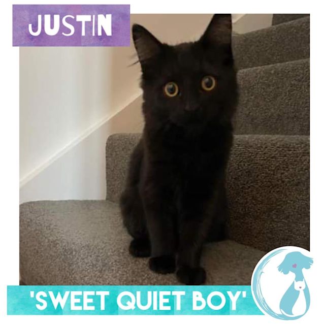 Photo of Justin