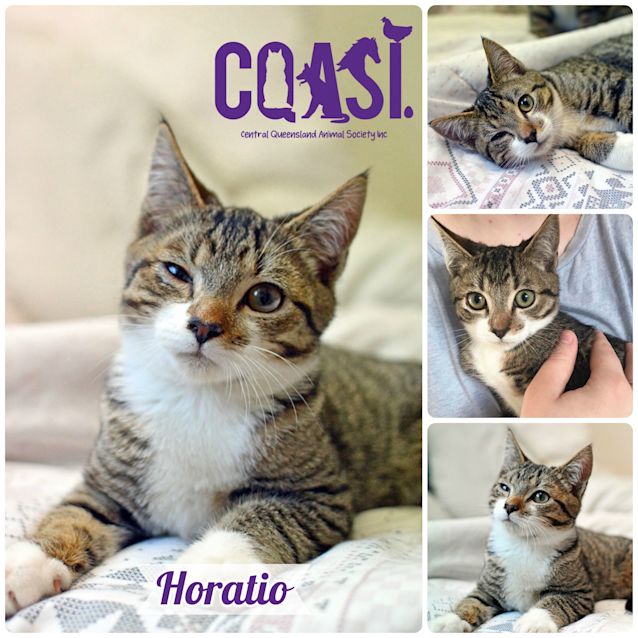 Photo of Horatio