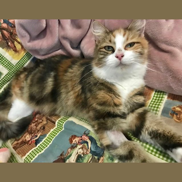 Photo of Winnie