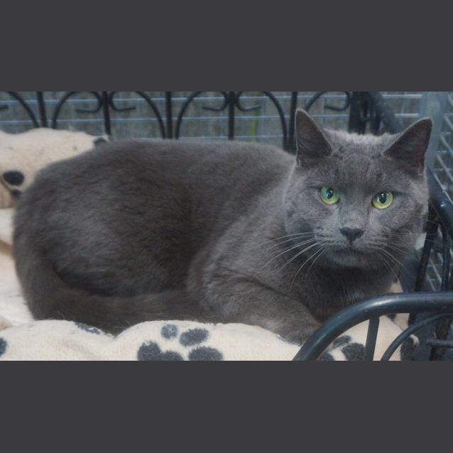 Photo of Samara