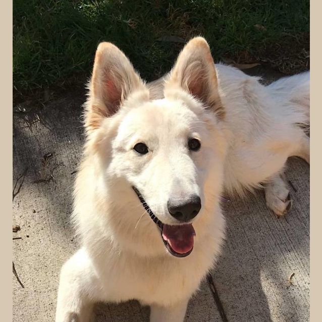 Photo of J'mai Aka Jaime