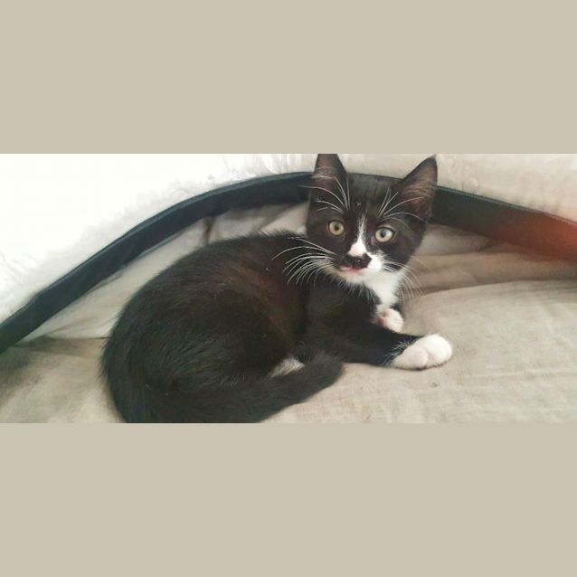 Photo of Hugo
