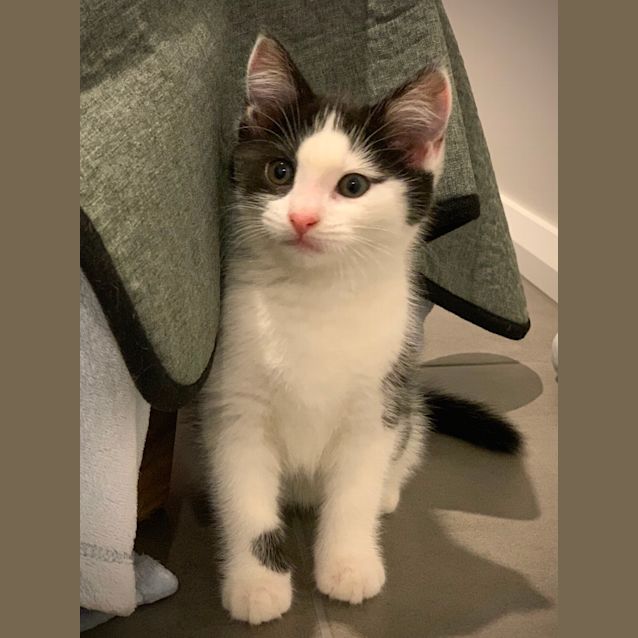 Photo of Lil Miss 🌼