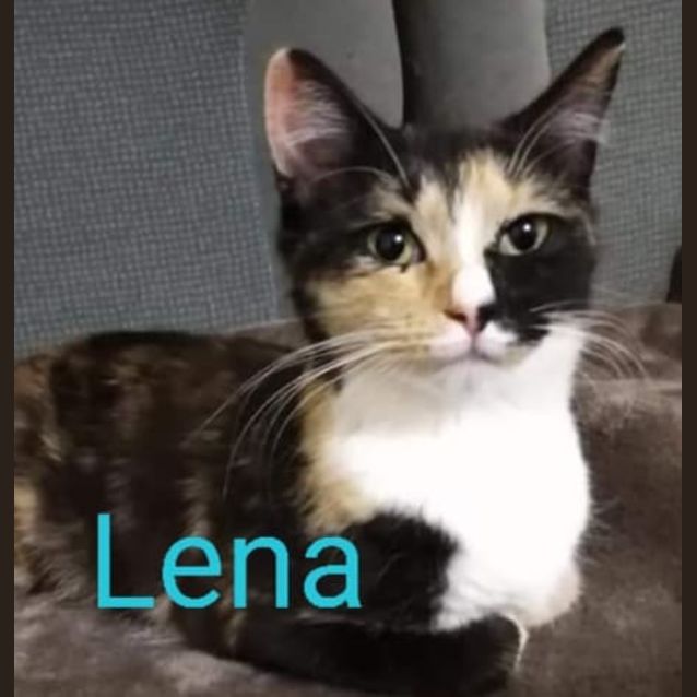 Photo of Lena