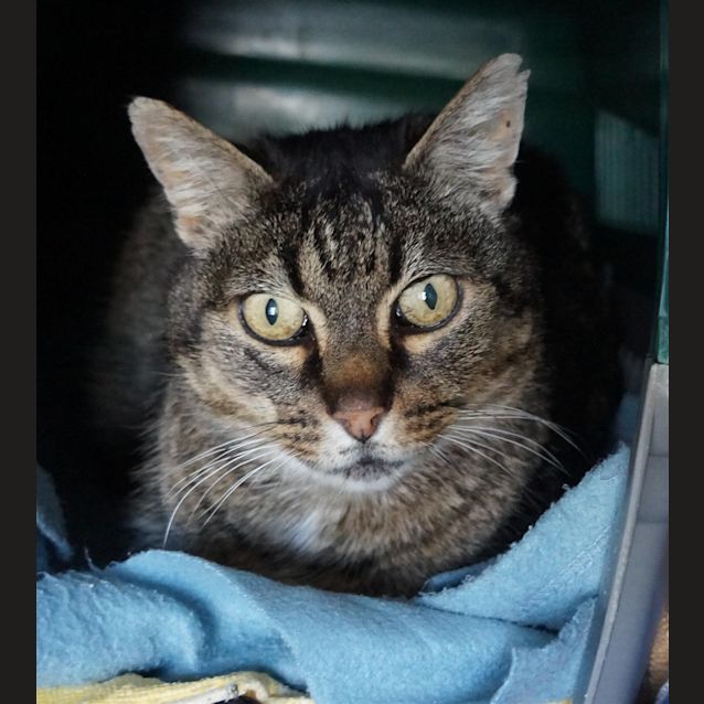 Photo of Dudley