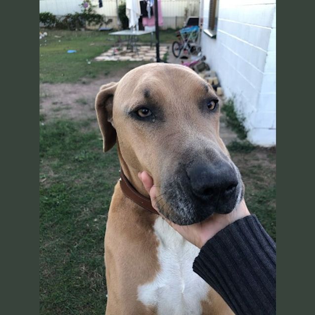 Photo of Duke