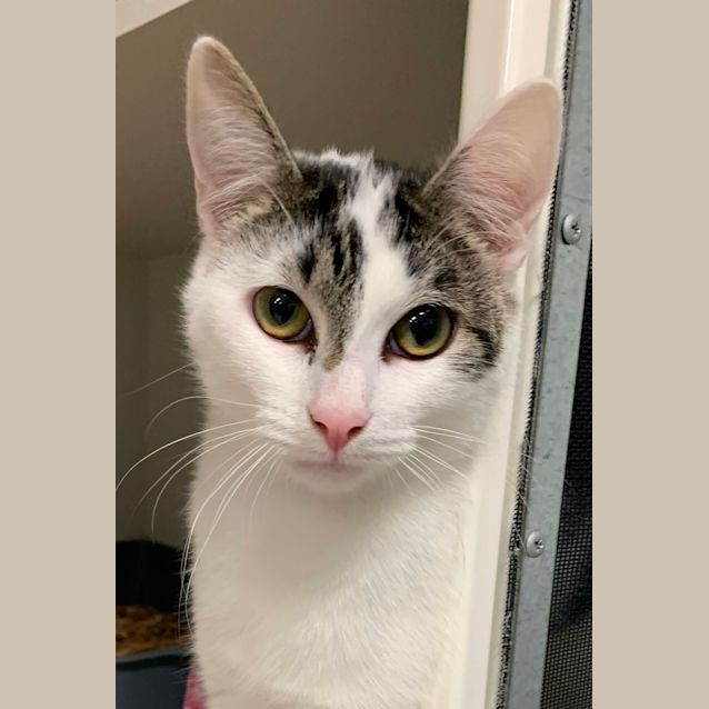 Photo of Milky
