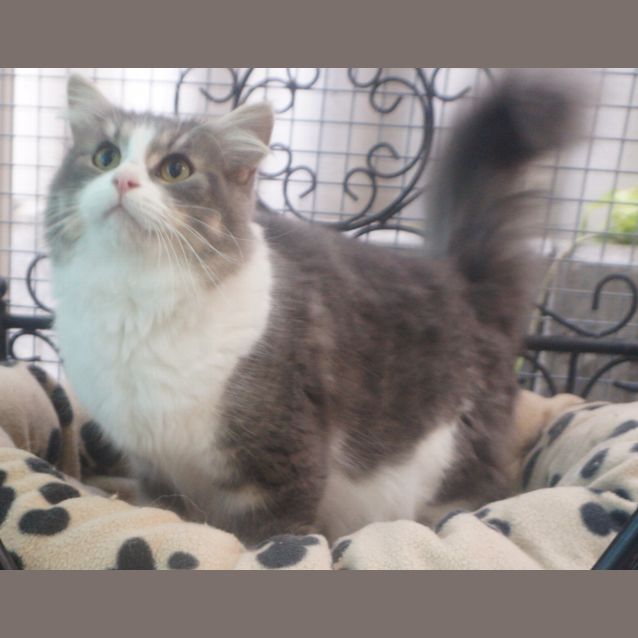 Photo of Hazel