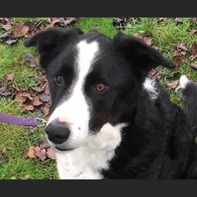 Photo of Max