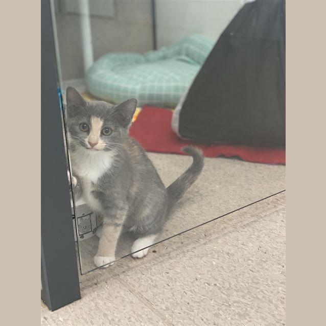 Photo of Leia