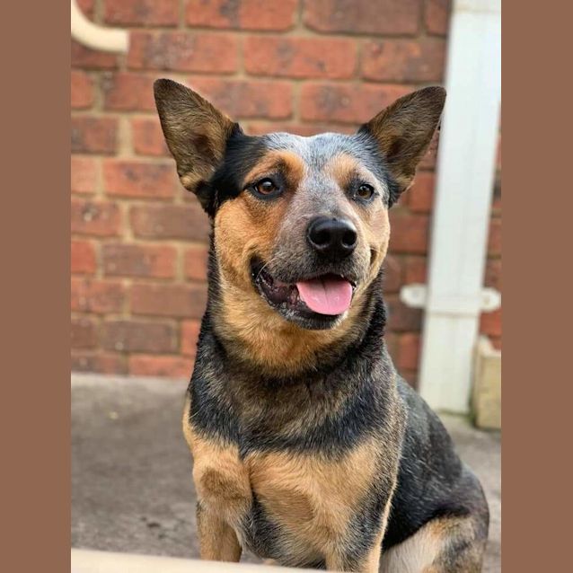 Photo of Tilda (Tilly)