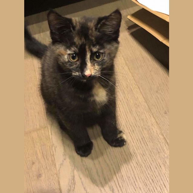 Photo of Ally & Callie