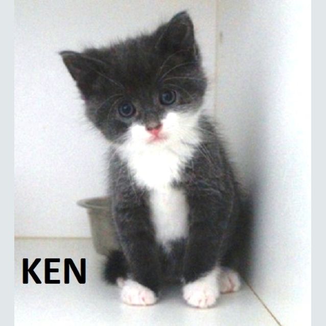 Photo of Ken