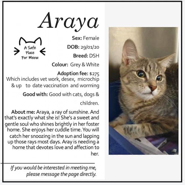 Photo of Araya