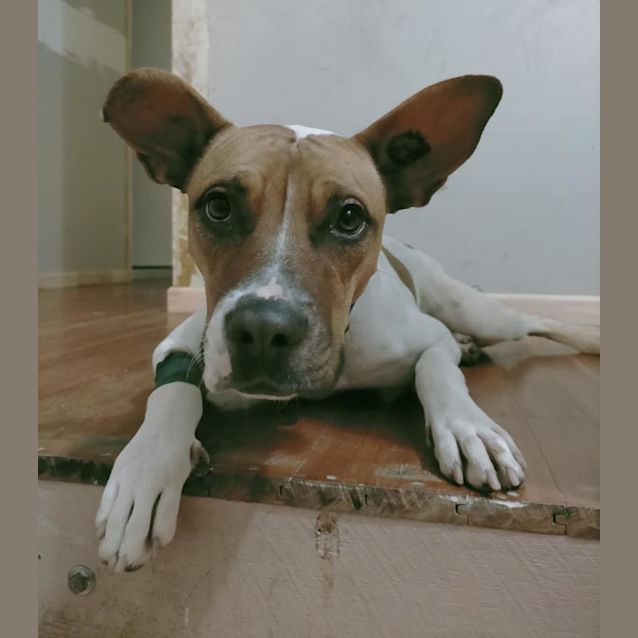 Photo of Milly