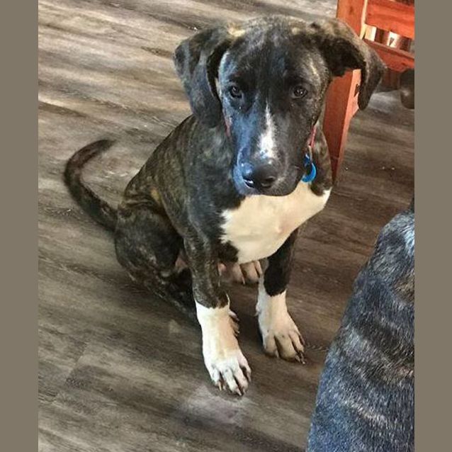 Photo of Floyd