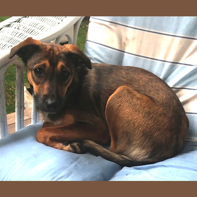 Photo of Missy