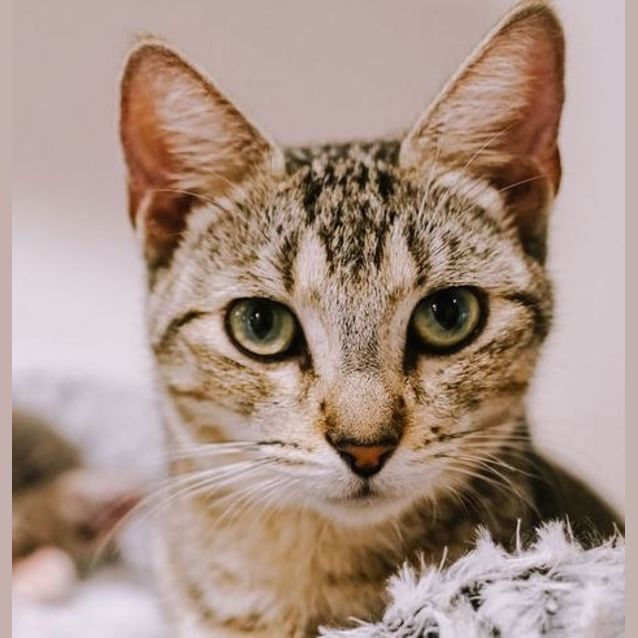 Photo of Tuesday
