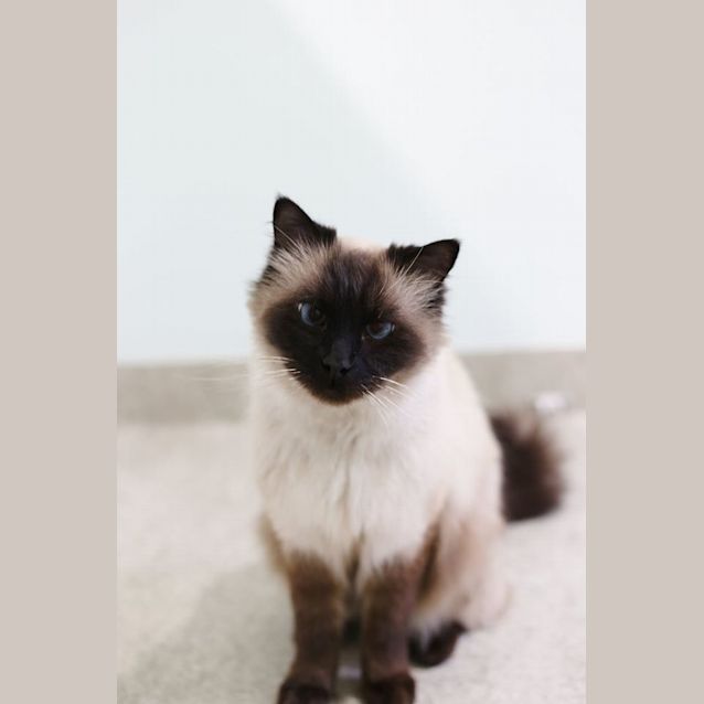 Photo of Mr W