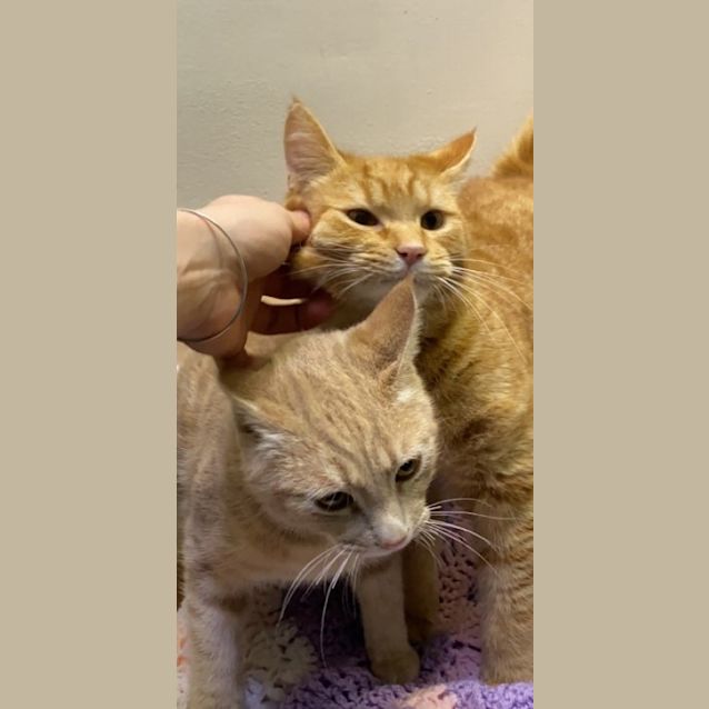 Photo of Billy & Benny