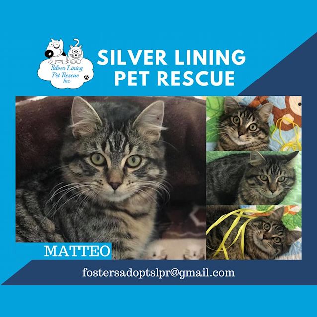 Photo of Matteo