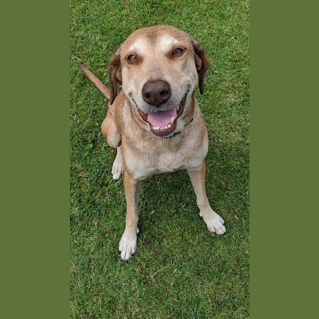 Photo of Missy